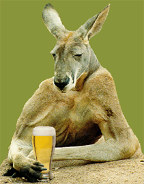 kangaroo beer