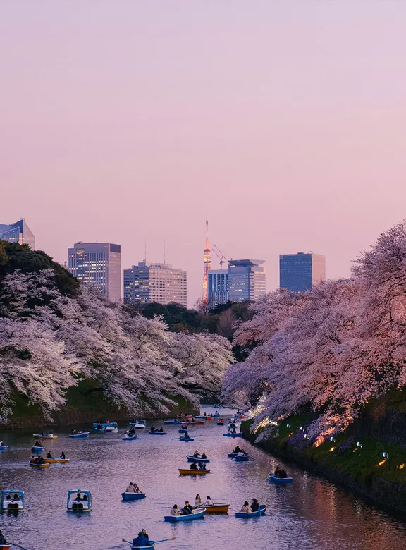 japao image 4