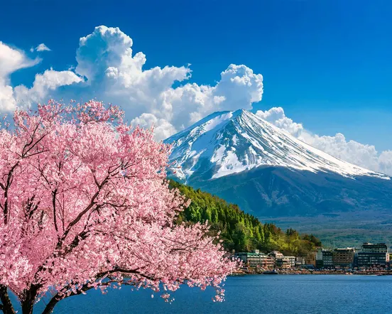 japao image 1