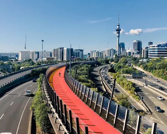 NZ1