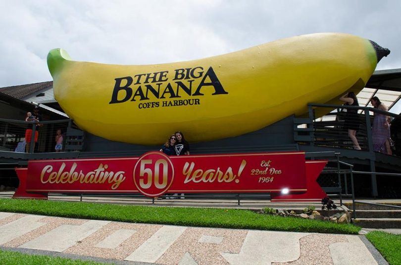 big banana